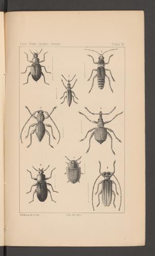 Seite 