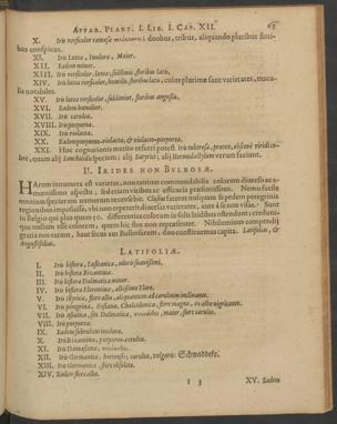Seite 