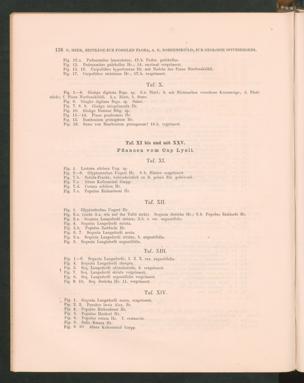 Seite 