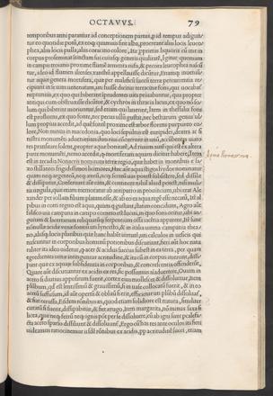 Seite 