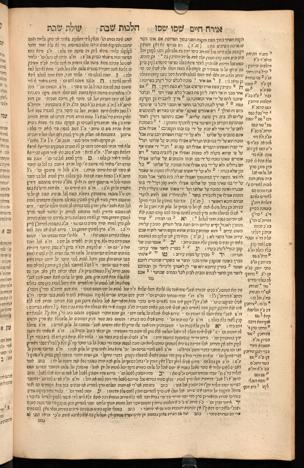 Seite 