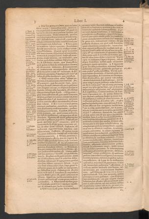 Pagina 