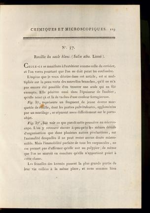 Seite 