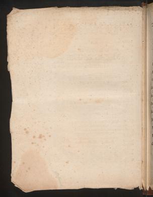Pagina 