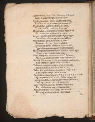Pagina 
