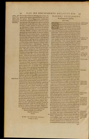 Seite 