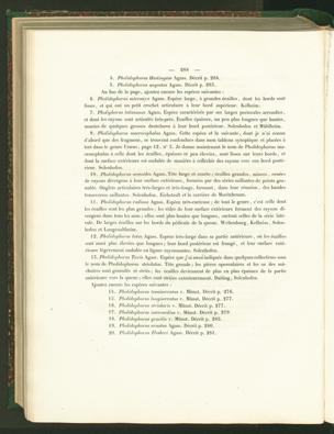 Seite 