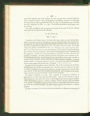 Seite 