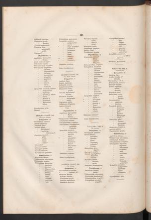 Seite 