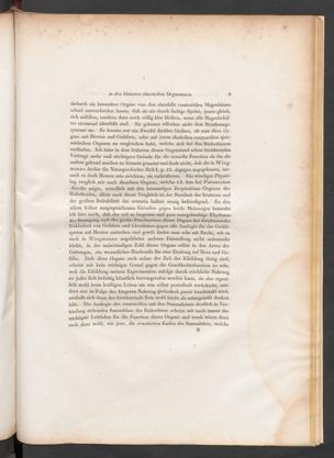 Seite 
