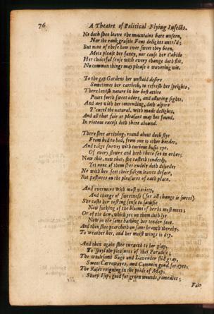 Seite 