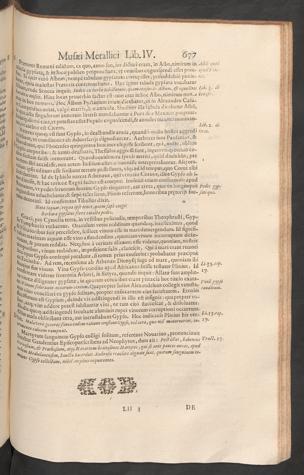Seite 
