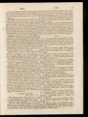 Seite 