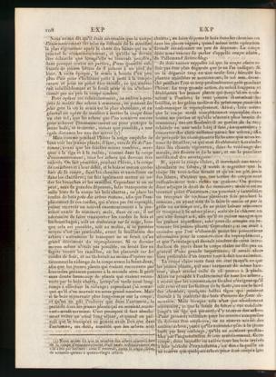 Seite 