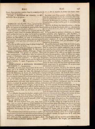 Seite 
