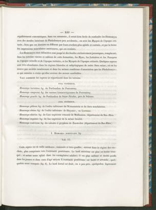 Seite 