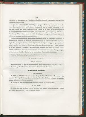 Seite 