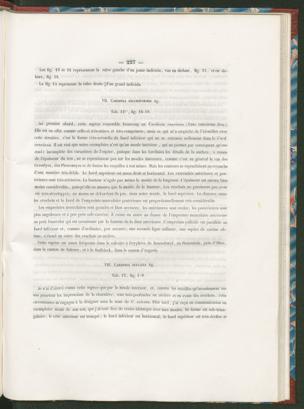 Seite 