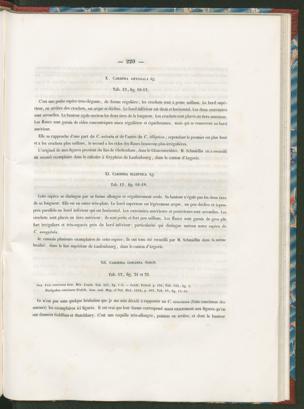 Seite 