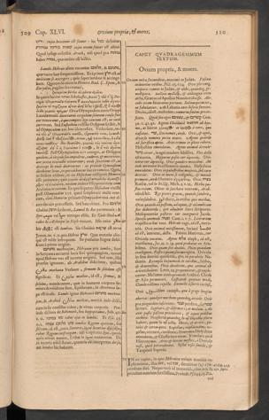 Seite 