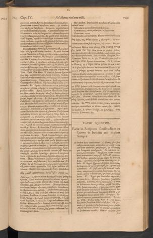 Seite 