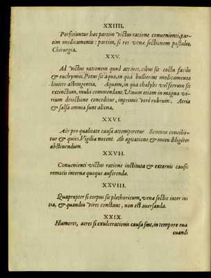 Pagina 
