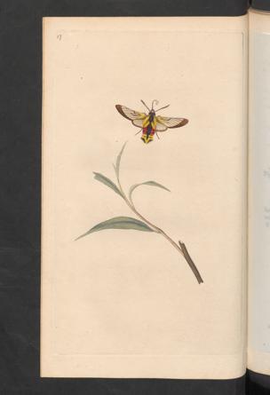 Seite 