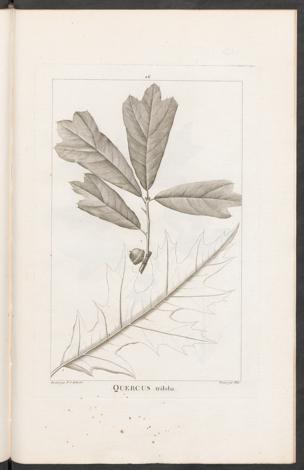 Seite 