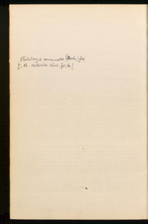 Seite 