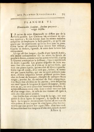 Seite 