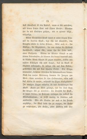 Pagina 