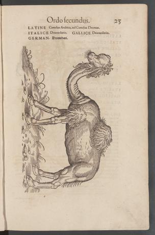 Seite 