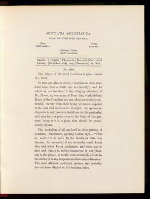 Seite 