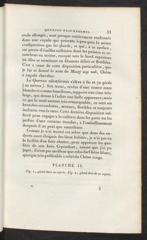 Seite 