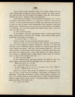 Seite 