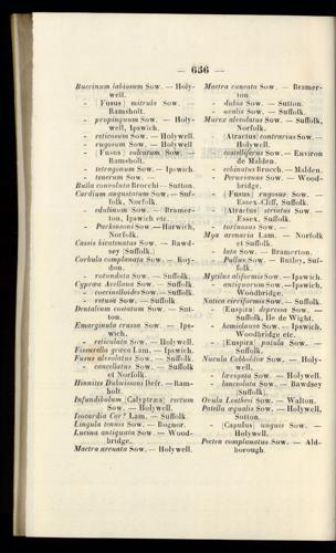 Seite 
