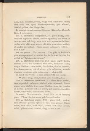 Seite 
