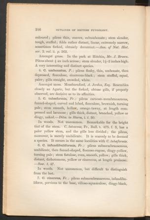 Seite 