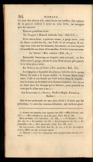 Seite 