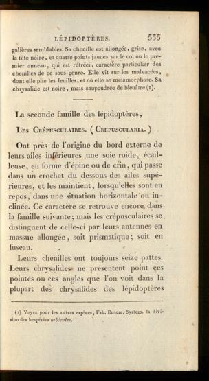 Seite 