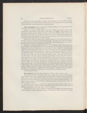 Seite 