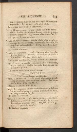 Seite 