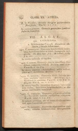 Seite 