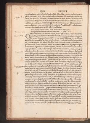 Pagina 