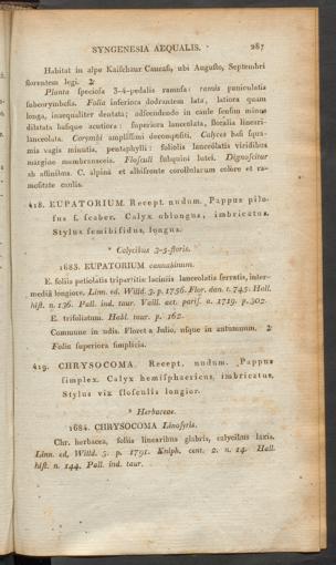 Seite 