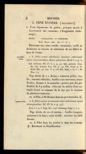 Seite 