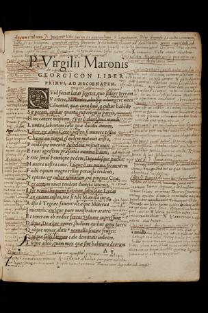 Pagina 