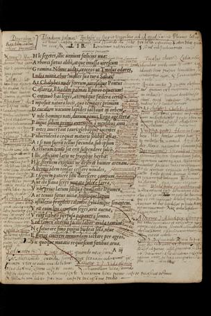 Pagina 