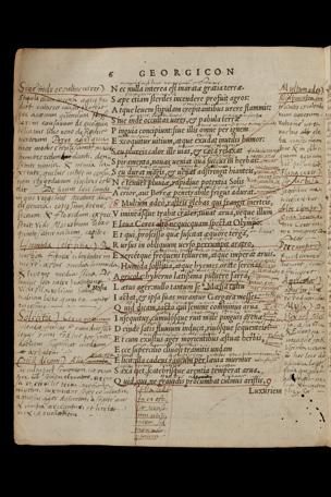 Pagina 