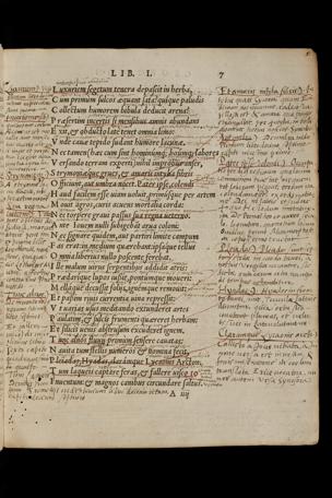 Pagina 